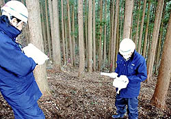 高濃度の放射能が依然検出される福島県内の森林
