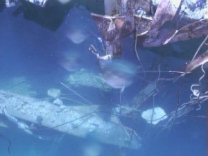 fukushima3goukipoolgareki120913_04