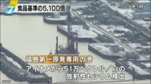 fukushimaK10058595811_1302281938_1302281943_01