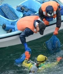 　アワビの稚貝を磯場に放流するため海に潜る漁師＝１日午前、福島県いわき市沖
