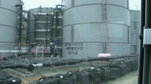 fukushimabaibapasutannku