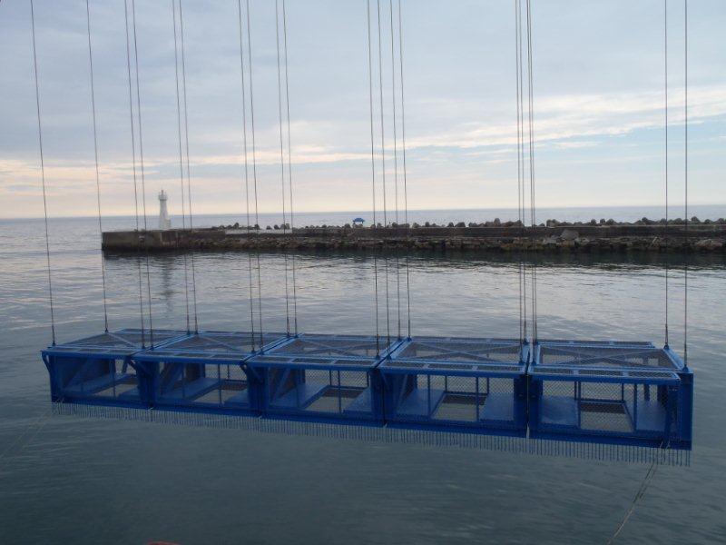 汚染魚対策で港湾内に設置されたブロックフェンスの設置作業