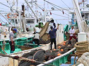 昨年夏、相馬市で試験操業出港を前に網を準備する漁業関係者