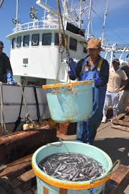 試験操業が続く福島いわき市