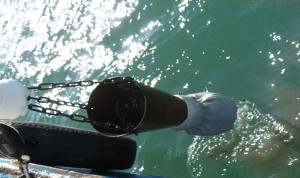 fukushimakaitei111201_02