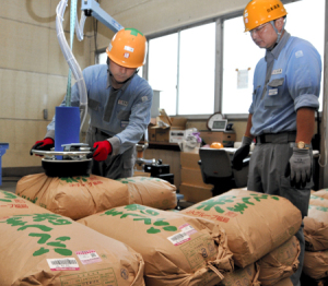 fukushimakomeIP130927AY0000345000_0000_C