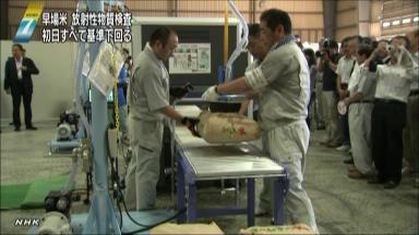 福島県の汚染米検査の様子。１００ベクレル以下の準汚染米も市場流通停止へ