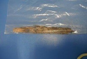 楢葉町で発見された放射性物質破片　毎時１２シーベルトの放射能発散