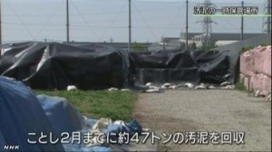 fukushimanhk10043599111_1305041034_1305041038_01