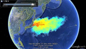 海は陸以上に汚染されてしまっているのです。