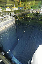 ６３７７体の核燃料集合体が保管されている福島第１原発の共用プール。４～５月には燃料の移動が始まる＝５日、大熊町