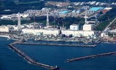 汚染濃度が高まる福島原発港湾