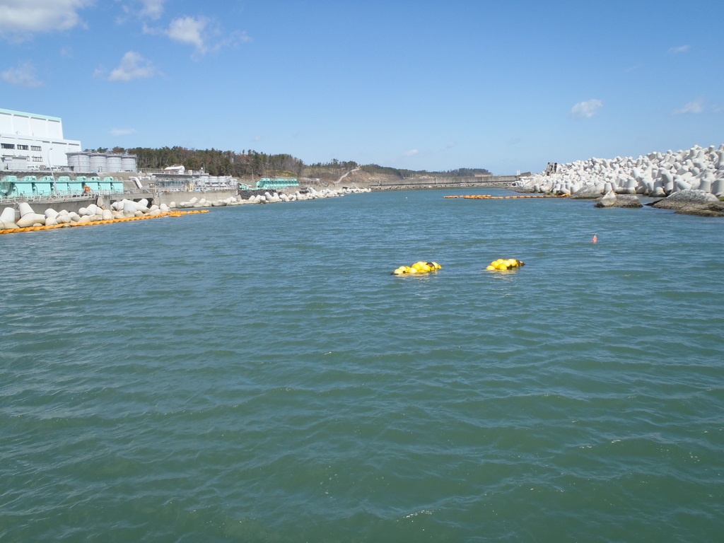 先の台風で遮断されたシルトフェンス