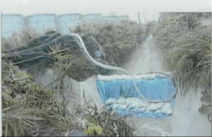 台風の影響で土のうが流出した福島原発Ｂ排水路。汚染水はダダ漏れ