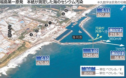 fukushimatokyoshimbun2014120199070303