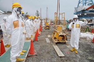 津波対策工事を視察する福島県の検討パネルのグループ
