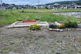 変わってしまったふるさとにも、懐かしの花が咲く