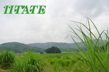 iitatet02200147_0800053512631855790