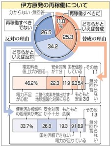 ikatagenpatsuPK2014020202100023_size0