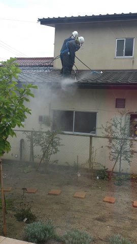 jyosenfukushima156395_399725250121168_878545242_n