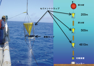 図２　時系列式沈降粒子捕集装置（セジメントトラップ）
黄色いコーン状の容器上部から沈降してきたマリンスノーを、防腐剤の入った容器下部の捕集カップに捕集。捕集カップは回転板に21個装着されており、あらかじめ設定した期間ごとに回転板が回転する事で交換される。これを海底から浮力材により緊張係留した（張力をかけて直立させた）ワイヤーの様々な深度に装着することで、各深度における期間ごとのマリンスノーを捕集する。これを通常は約1年間係留、１年後に船上から切離装置に音響信号を送信して、シンカーを切り離し、係留系を浮上させる。船上でマリンスノー入りの捕集カップを回収し冷蔵保存。陸上に持ち帰りマリンスノーの放射性物質ほか各種成分を化学分析する。