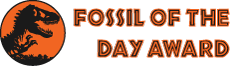 logo-fossil