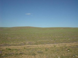 モンゴルの大草原。ここに風車が連なるのかな？