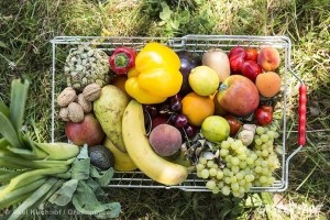 neonikochinoid91686_148125