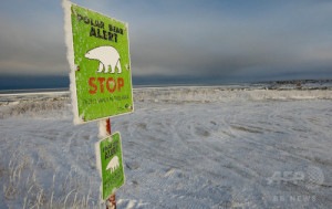 カナダ・マニトバ州チャーチルにあるホッキョクグマとの遭遇に注意を促す看板（クマも読むかな？）