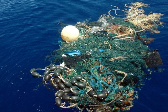 プラスチック類を最も多く海に放棄している国は中国とインドネシアである公算が大きい