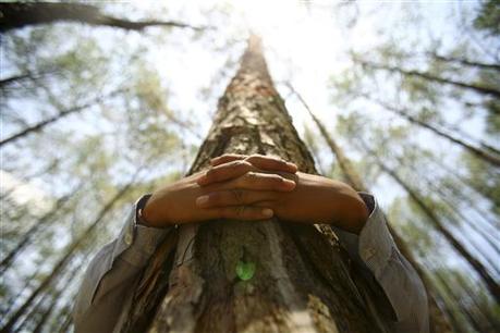 A boy hugs a tree trunk as he prepares to take part in an attempt to create a Guinness World Record for the most number of people hugging trees for two minutes in Kathmandu June 5, 2011. REUTERS/Navesh Chitrakar