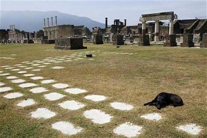 ポンペイの遺跡近くで寝そべる犬（２００８年７月１７日、イタリア・ポンペイ）