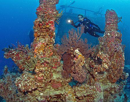 人工岩礁を調べる人（アネット・ロバートソンさん提供）（２０１２年５月１６日、米フロリダ州キーラーゴ沖合）