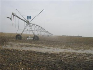 米農務省、干ばつで小麦ベルト地帯に「自然災害地域」宣言