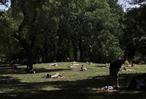 ニューヨーク市内の公園で日光浴をする人たち（２０１２年７月８日、米ニューヨーク市）