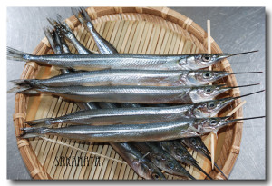 sayorid0069838_21121855