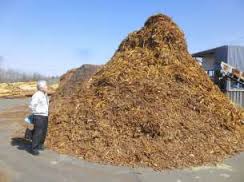 滋賀県で放棄されていたセシウム木くず