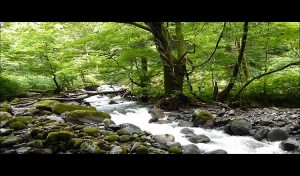 shiotanimaxresdefault