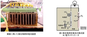 図1 微生物燃料電池（左）と反応の概要（右）。出典：NEDO
