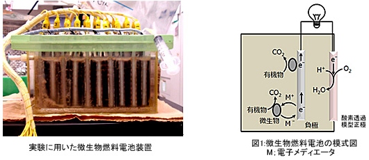 図1 微生物燃料電池（左）と反応の概要（右）。出典：NEDO