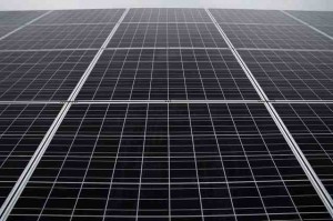 softbankbloombergdata