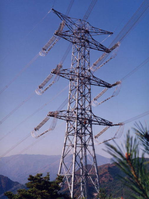 送電事業も自由参入を認めるべき