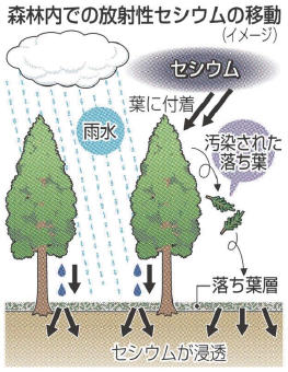 sugibayashi20131216025je