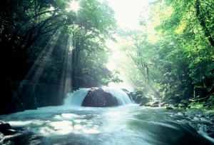 日本の豊かな水は何物にも代え難い