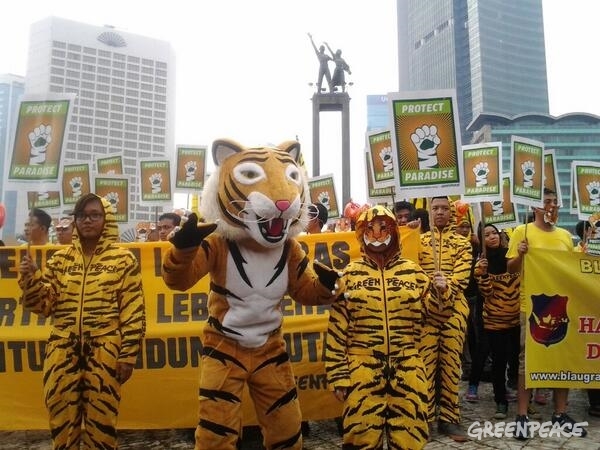 インドネシアでのトラ保護キャンペーン