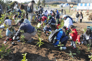 土砂を混ぜた土塁に苗を植えて緑の堤防造りに取り組む親子連れ＝千葉県浦安市で