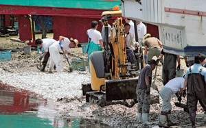 大量死したイワシの除去作業を行う重機と漁協組合員ら＝千葉県いすみ市で