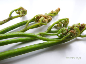 warabib0029706_1224811