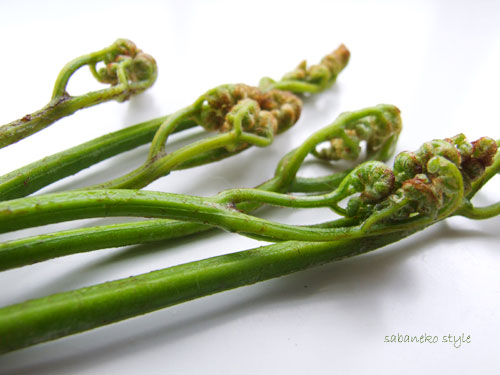 warabib0029706_1224811