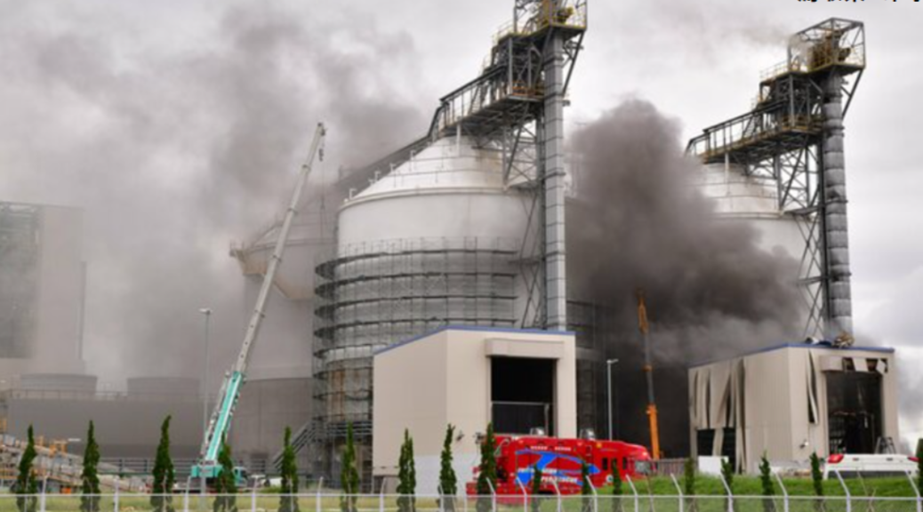 yonago002 2026-01-26 214102